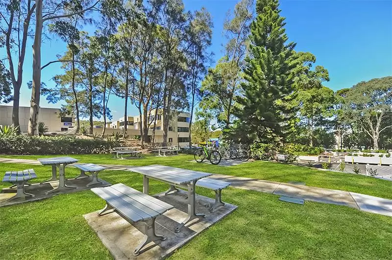 120 Old Pittwater Road, Brookvale Leased by One Commercial - image 11